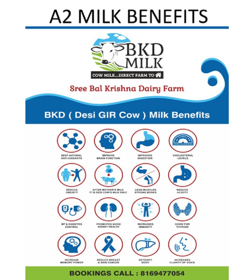 BKD MILK